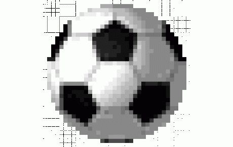 Les groupes de D1 saison 2024-2025